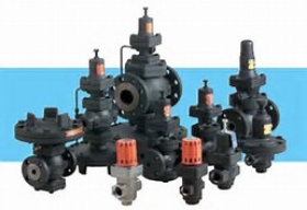 Pressure Reducing Valve,Safety Relief Valve & Control Valve for General Use