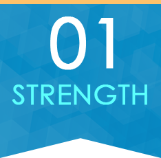 01 STRENGTH